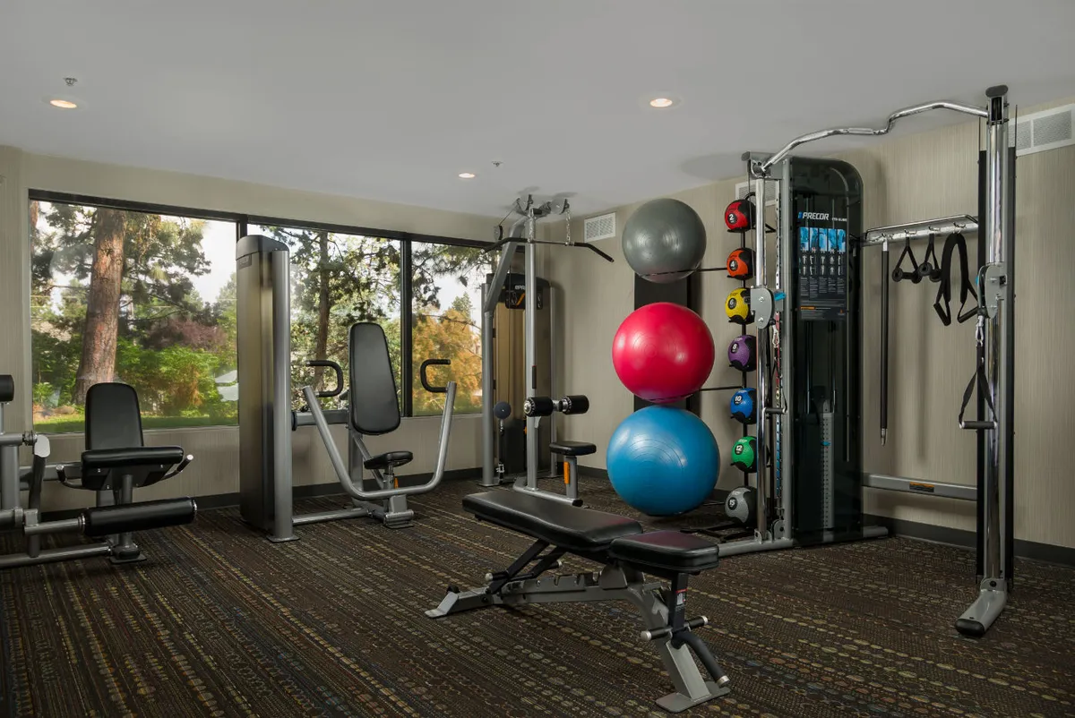 A bright, modern fitness center featuring state-of-the-art exercise equipment, colorful exercise balls, and large windows filling the room with natural light and offering scenic river views. The layout provides ample space for personal or group workouts.